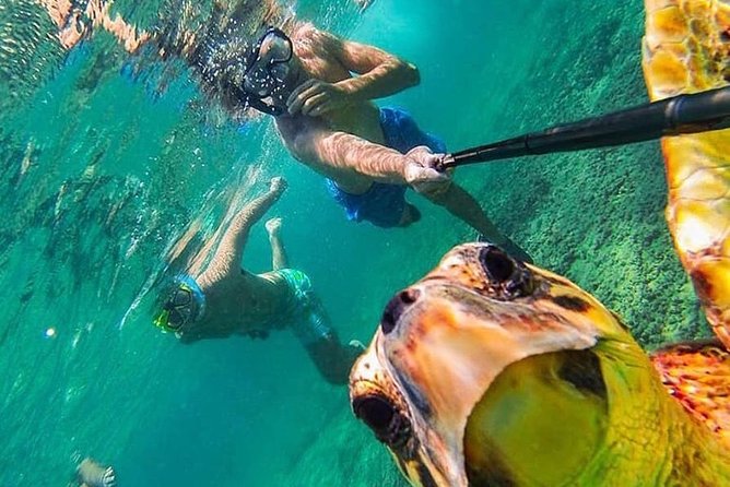 Intro Dive From Hurghada - Dive Experience in Hurghada