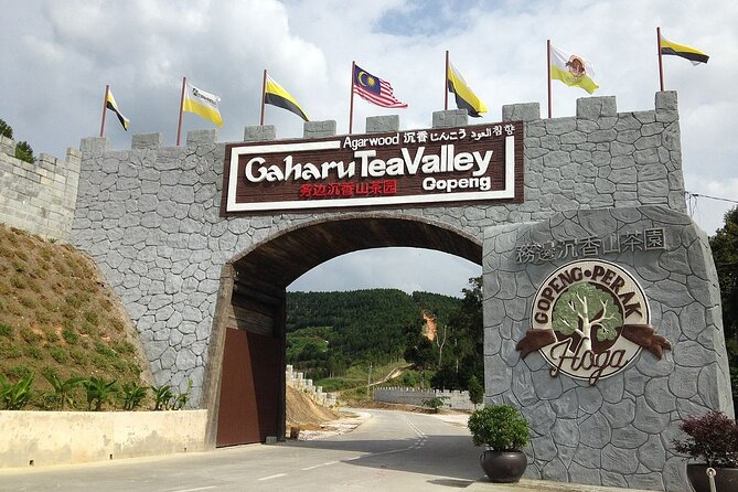 Ipoh Day Trip From Kuala Lumpur - Reviews