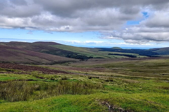 Isle of Man Wildlife and Scenic Adventure -Half Day - Guide Expertise and Services
