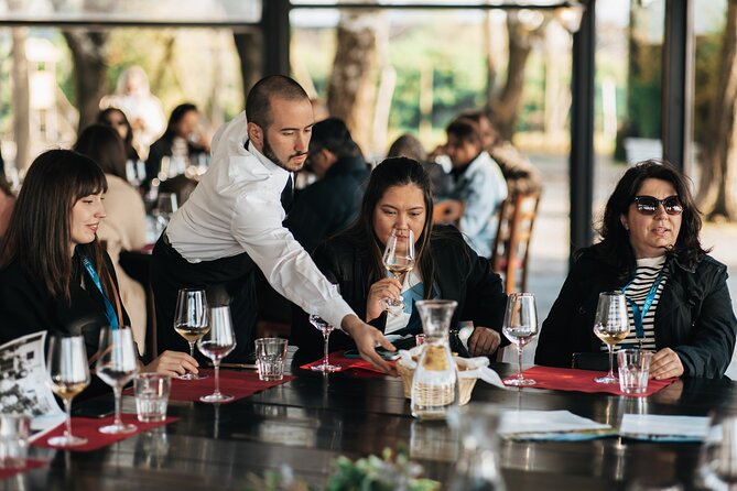 Isola Le Vignole Wine Experience - Experience Details