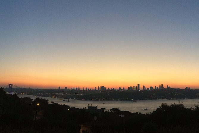 Istanbul - Full Day Bosphorus Cruise , Beylerbeyi Palace Tour With Lunch - Tour Inclusions