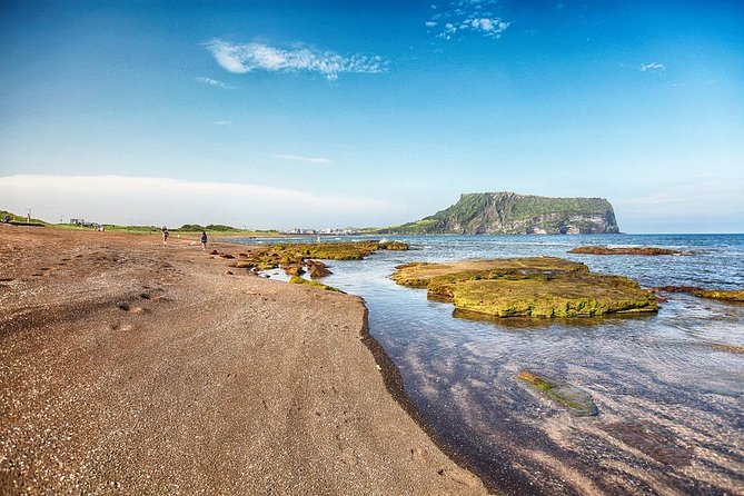 Jeju Island Private Taxi Tour : UNESCO Day Tour - Customer Feedback