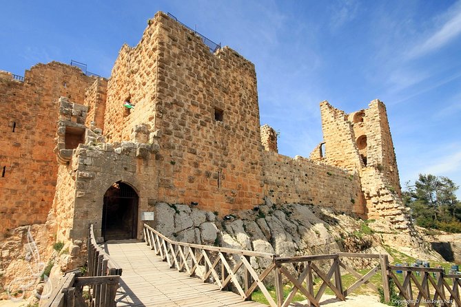 Jerash – Ajloun Tour From Amman Or Dead Sea
