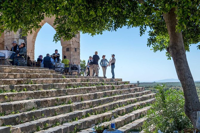 Jerash, Ajloun & Umm Qais Private Tour