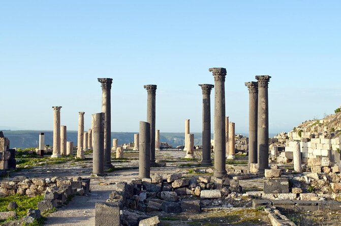 Jerash Umm Qais & Ajloun Castle Tour - Tour Experience