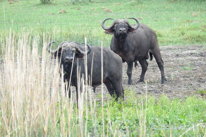Johannesburg or Gaborone to Maun: 5 Day Rhinos, Diamonds & Okavango Delta Tour - Departure Options