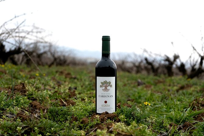 Journey Through Lebanese Wine: A Private Tour in the Beqaa Valley - Tour Highlights