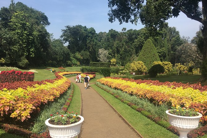 Kandy Private Day Tour - Inclusions and Logistics