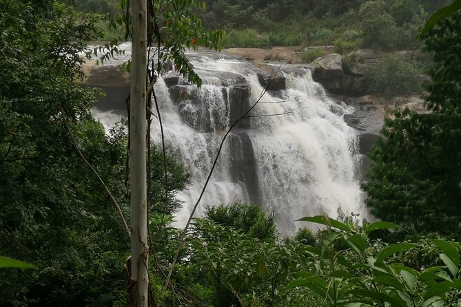 Karkloof 6 Waterfalls Hiking Trip - Trip Overview