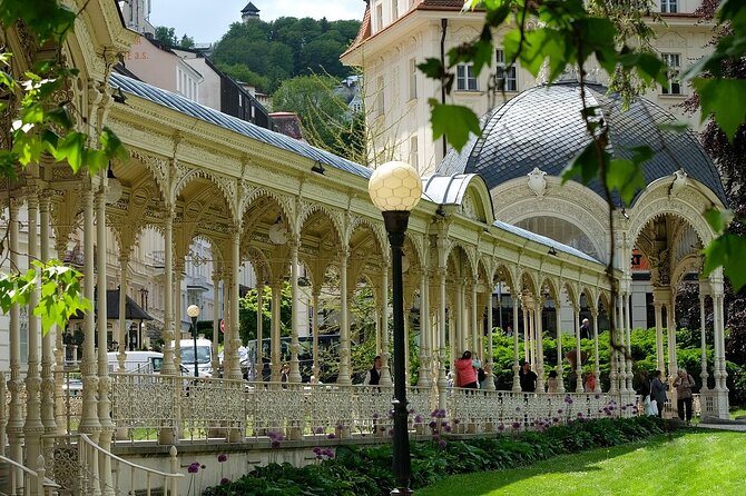Karlovy Vary Private Walking Tour With A Professional Guide - Tour Benefits
