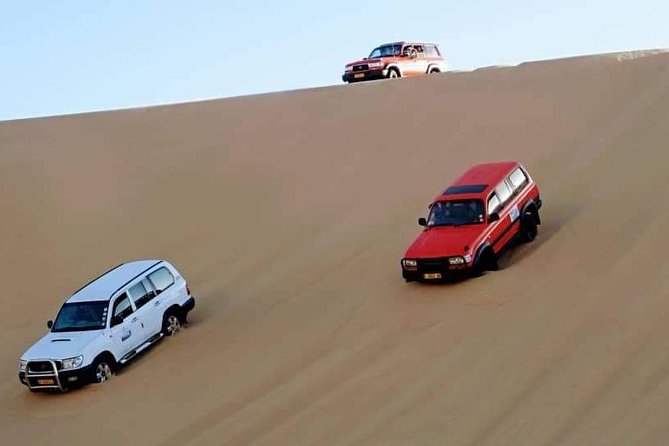 Kayaking and Sandwhich Harbour Dune 4x4 Combo - Activity Highlights