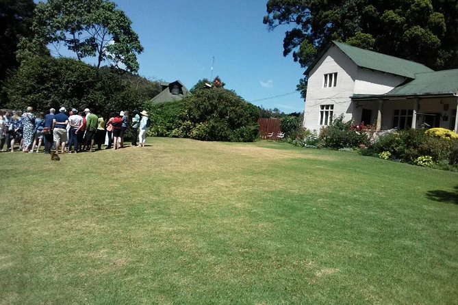 Kiambethu Tea Farm Day Tour From Nairobi - What to Expect