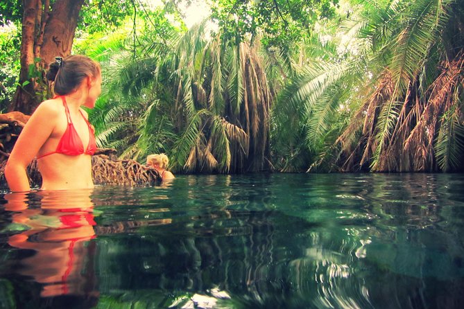 Kikuletwa Hot Spring - Location Details and Pricing