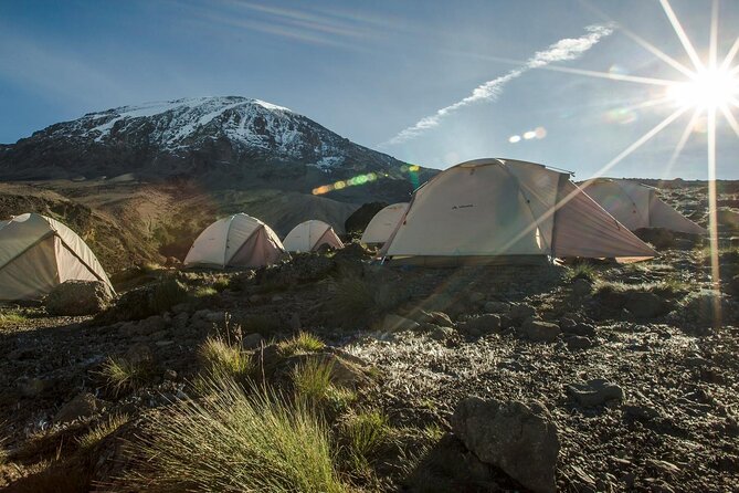Kilimanjaro Climb - 7 Days Machame Route - Day 3: Machame Camp to Shira Camp