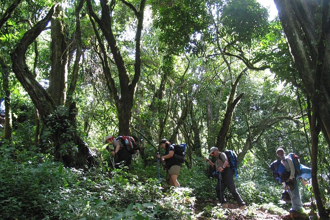 Kilimanjaro Climb • Signature Machame Route ~ 10-Day
