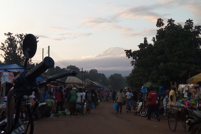 Kilimanjaro Climbing Day Trip - What to Expect