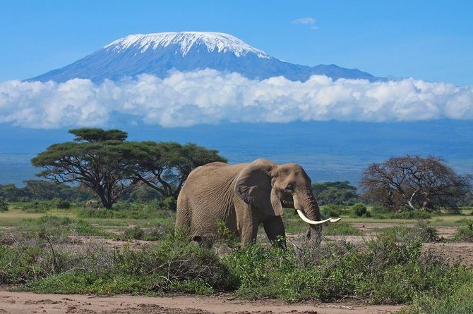 Kilimanjaro Climbing, Machame Route,7 Days.