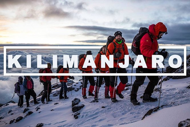 Kilimanjaro Day Hike. - Reviews