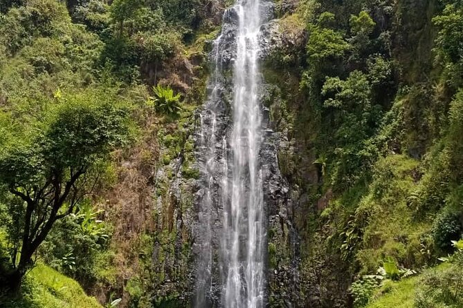 Kilimanjaro Private Day Hike Materuni Waterfall and Hot Spring - Cancellation Policy