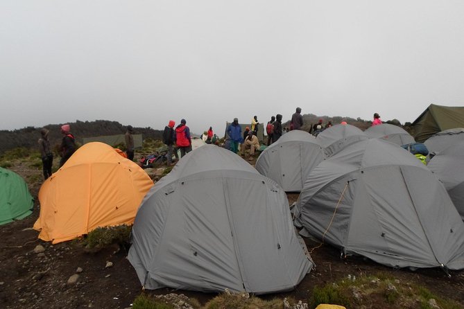 Kilimanjaro Rongai Route 7 Days - Itinerary Highlights