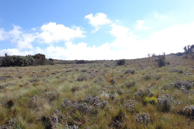 Kilimanjaro Shira Plateau Day Hike - What to Bring