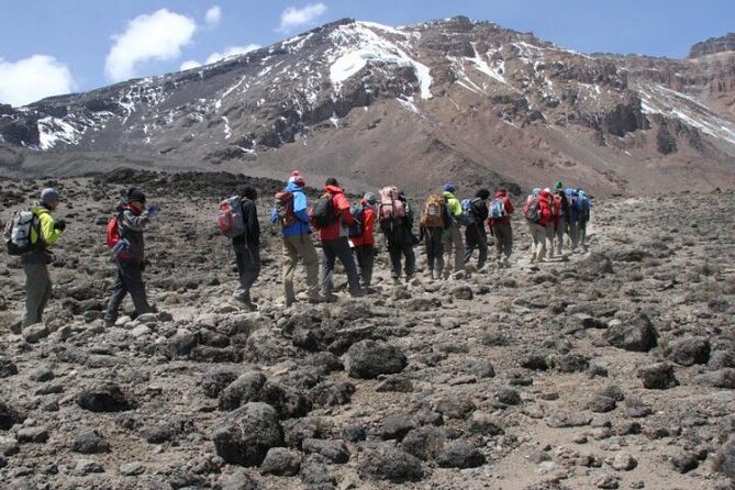 Kilimanjaro-Trekking Rongai Route 7 Days / 6 Nights - Reviews and Lowest Price Guarantee