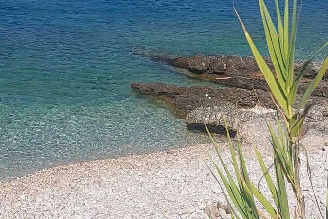 Korčula Wild Beach Early Morning Swim