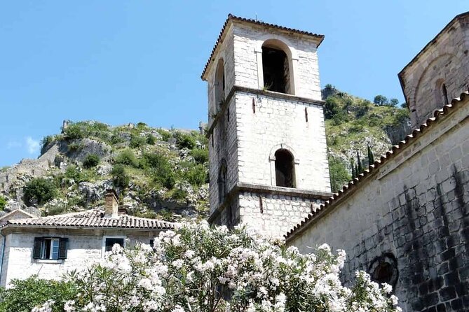Kotor’s Family Chronicles: A Heritage Walk