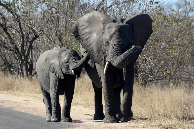 Kruger National Park - 1 Day (Open Vehicle) - Inclusions