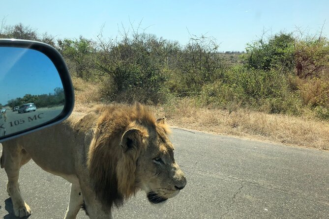 Kruger National Park Full-Day Tour - Inclusions and Exclusions