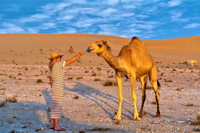 Kuwait Desert & City Half Day Private Tour Local Licensed Guide - Tour Highlights