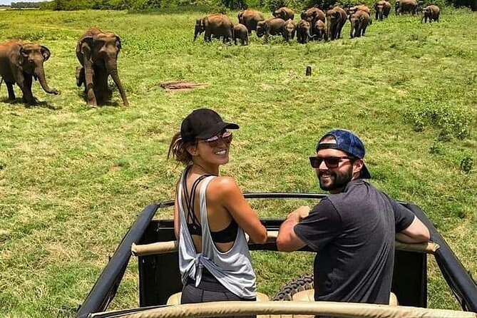 La Ceylon Popular Round Tour in Sri Lanka (8 Day) - Tour Details