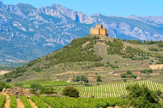 La Rioja Private Tour to 3 Wineries With Wine Tasting - Tour Itinerary