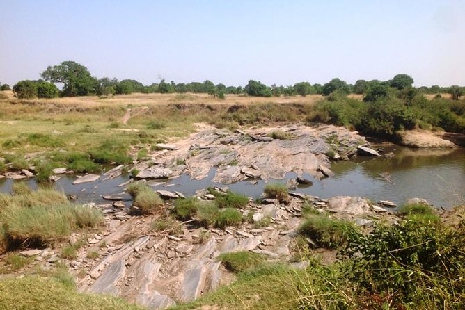 Lake Bogoria Flamingos Tour From Nairobi - Tour Highlights