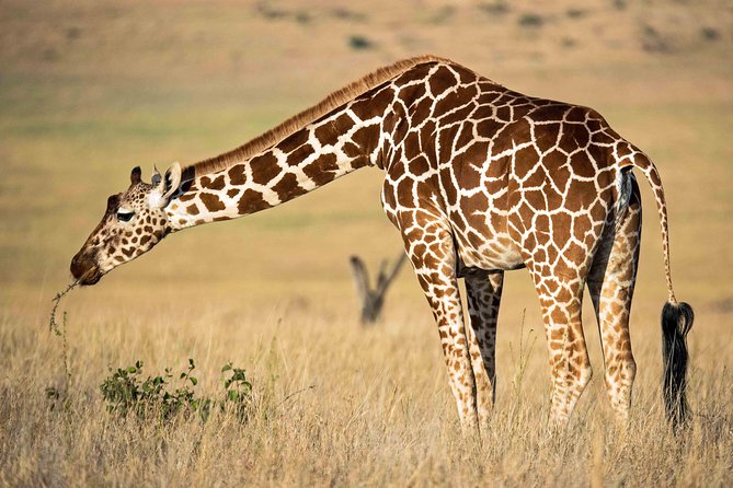 Lake Naivasha and Crescent Island National Park - Location and Details