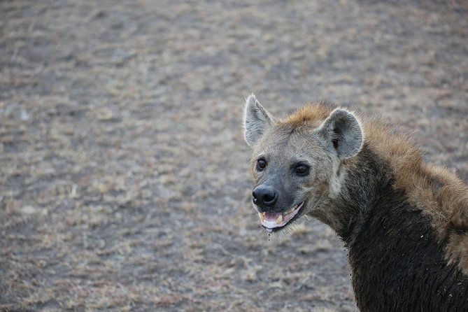 Lake Nakuru Park/Lakenaivasha Boat Ride Riftvalley Day Trip - Pickup Details