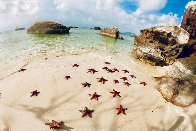 Land Tour 2: Discover the North - Kayaking & Starfish Beach Phu Quoc (Not Lunch) - Tour Overview