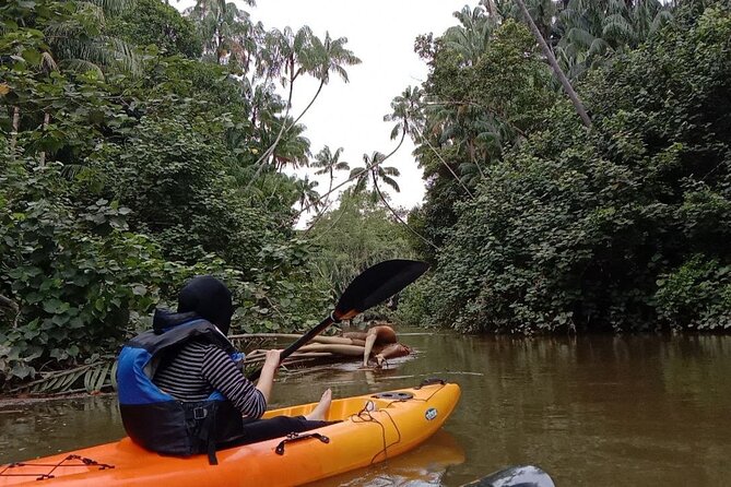 Lebam River Kayaking Adventure - Additional Information