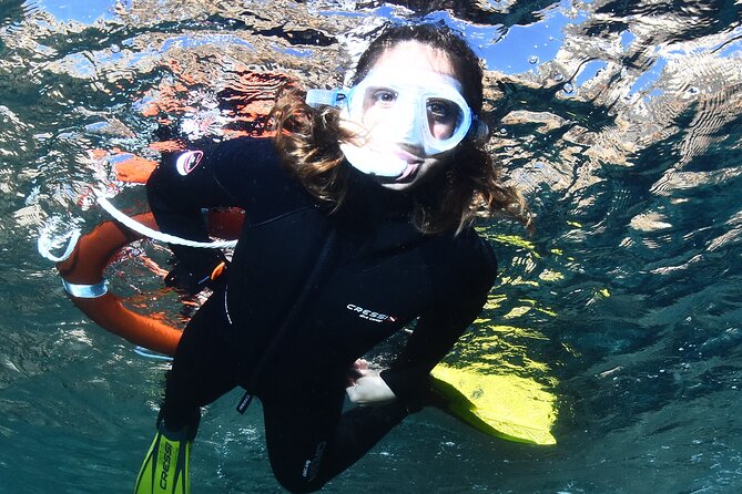 LEstartit: Snorkeling in the Medes Islands - Location and Meeting Point