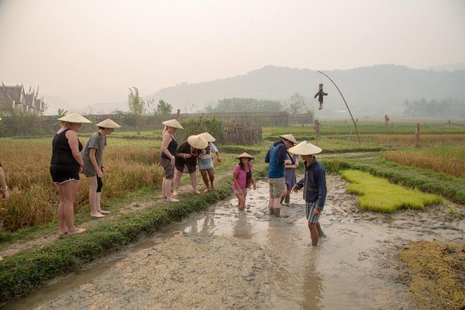 Living Land Rice Farming Experience - Whats Included