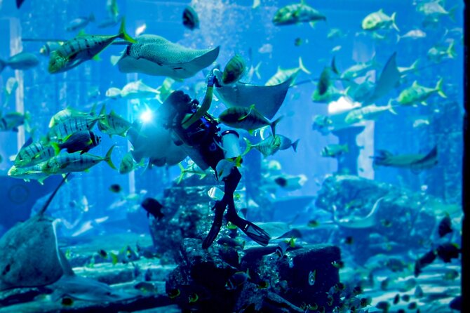 Lost Chamber Aquarium Entry Ticket With Private Transfer in Dubai - Inclusions