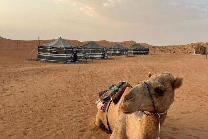 Luxury Overnight Desert Safari in Salalah