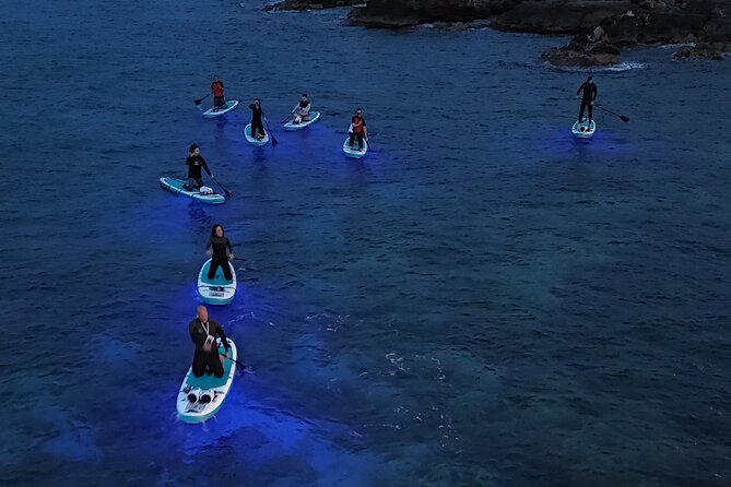 LUZ - Light Show on SUP With Tour by the Sea - Availability and Reservation