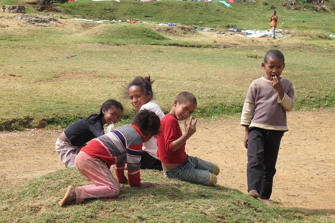 Madagascar 7 Days Baobabs and Lemurs Tour - Wildlife Encounters