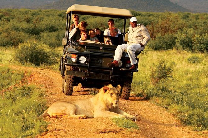 Madikwe Game Reserve Day Tour (Minimum per Booking: 5 People) - Inclusions and Meeting Points