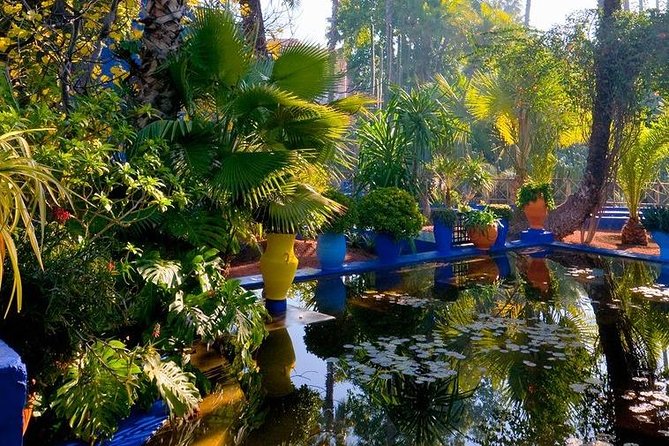 Majorelle and Menara Gardens With Palmeraie Camel Riding Marrakech - Tour Itinerary
