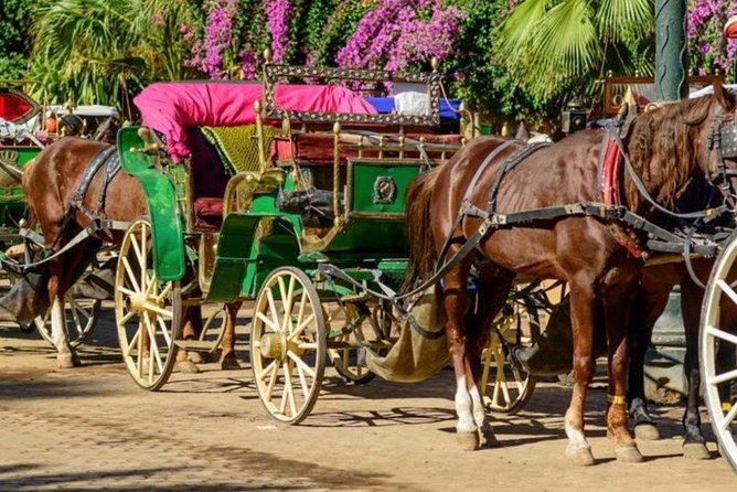 Marrakech by Night - Private Transportation Options