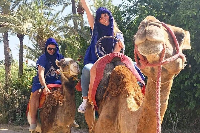 Marrakech Palm Grove Camel Riding Activity - Activity Overview