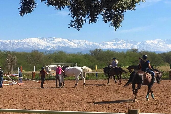 Marrakech & The Farm Experience! - Pickup Details