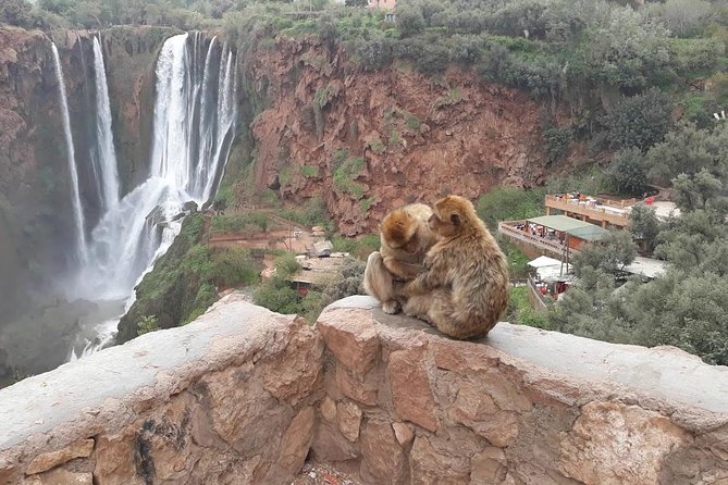 Marrakesh Day Trip to Ouzoud Waterfalls - Trip Overview